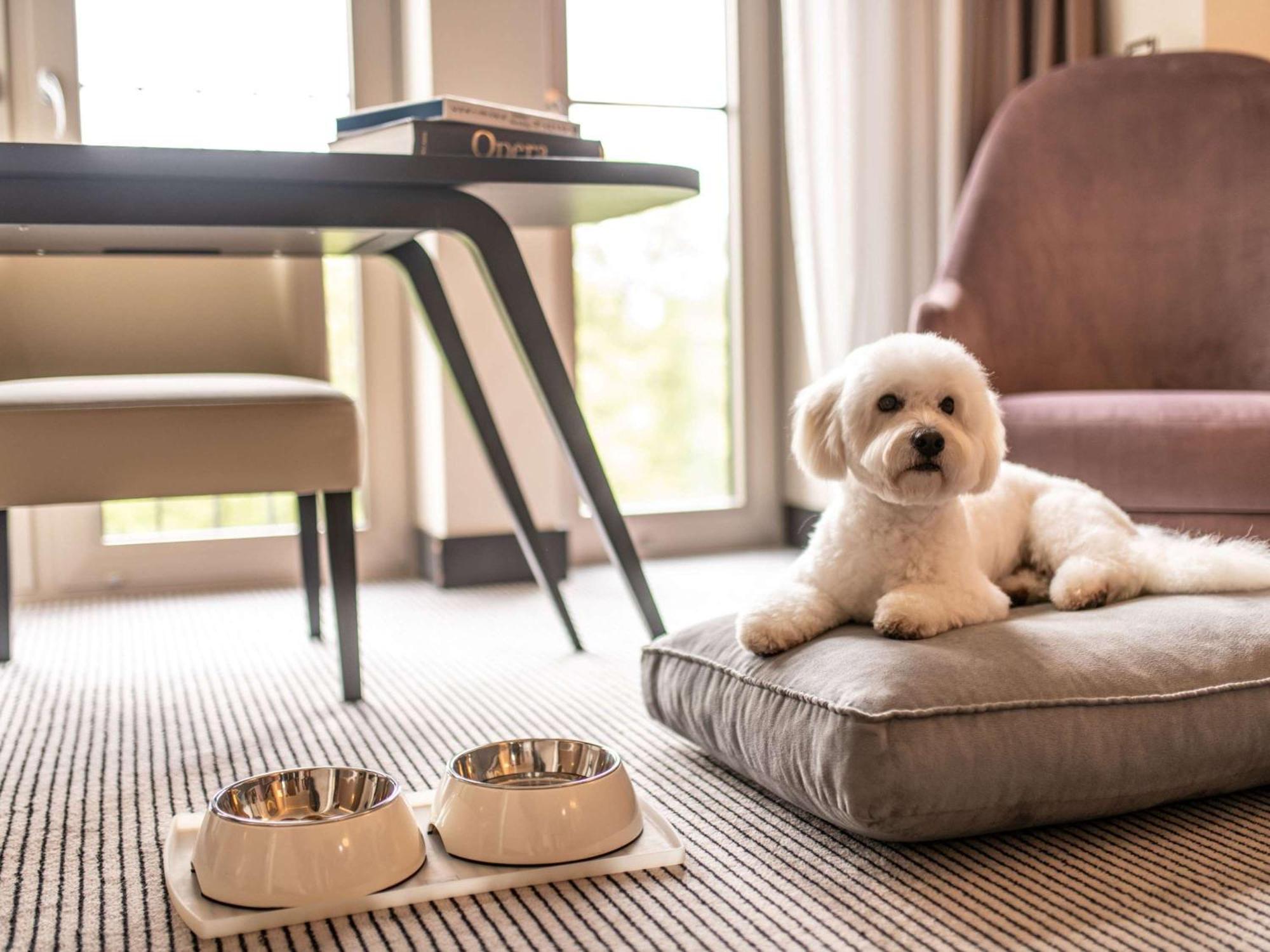 Sofitel Frankfurt Opera Hotell Frankfurt am Main Eksteriør bilde A dog at the Mandarin Oriental, Munich